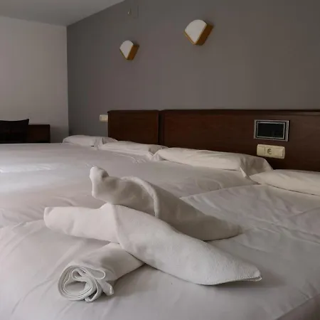 Hotel Ciudad De *